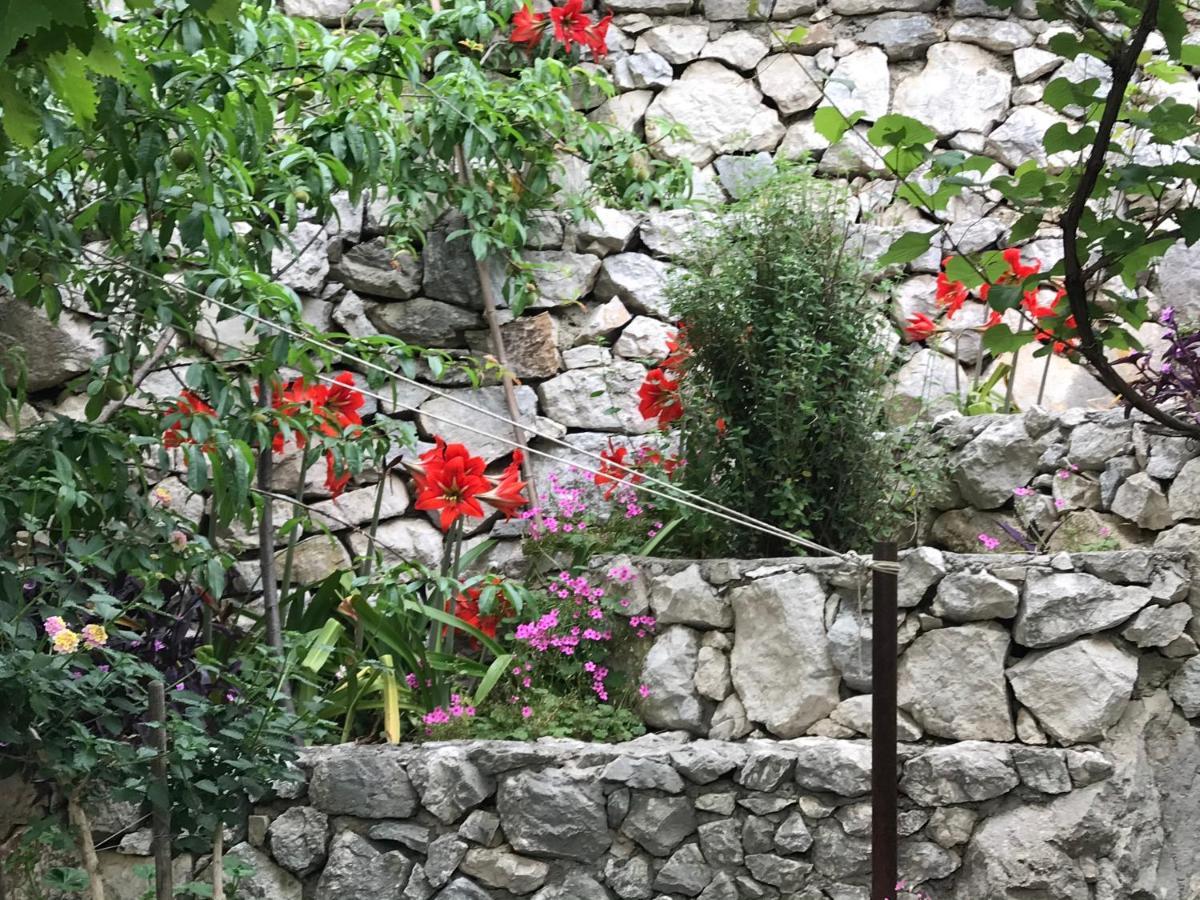 Apartment Victoria Omiš Εξωτερικό φωτογραφία